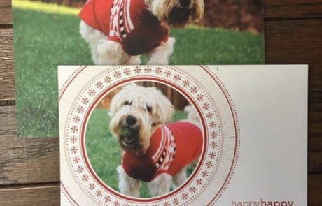 custom invitations kansas city, kansas city invitations, wedding invitations kansas city, calligraphy kansas city, kansas city gift wedding gifts, kansas city bar mitzvah invitations, kansas city bat mitzvah invitations