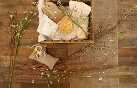 shawnee-wilborn-54431-unsplash